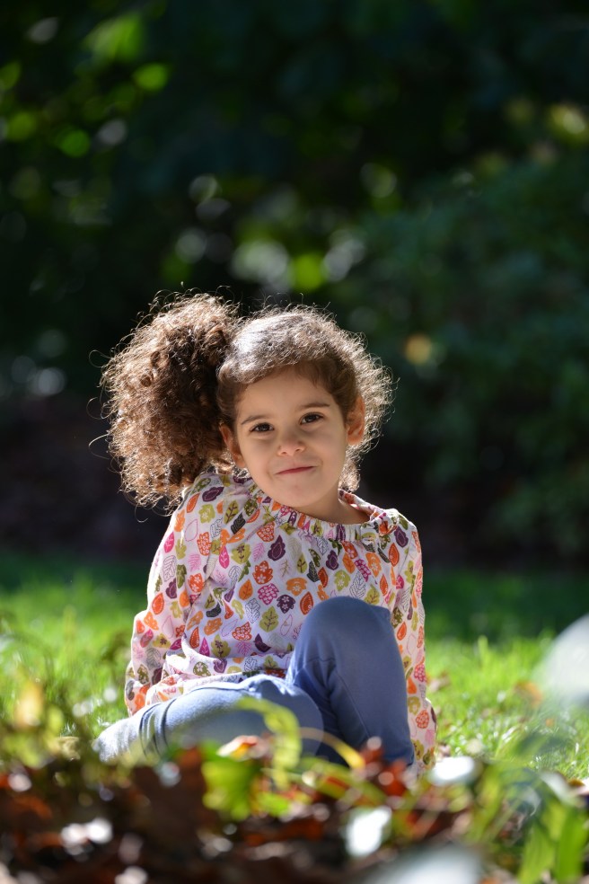 סתיו, שלכת, גלית לוינסקי