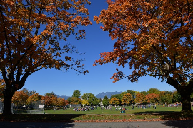 סתיו גלית לוינסקי