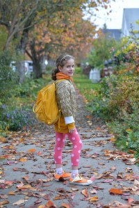 דלעת סתיו גלית לוינסקי