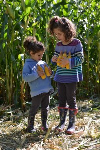 דלעת סתיו גלית לוינסקי