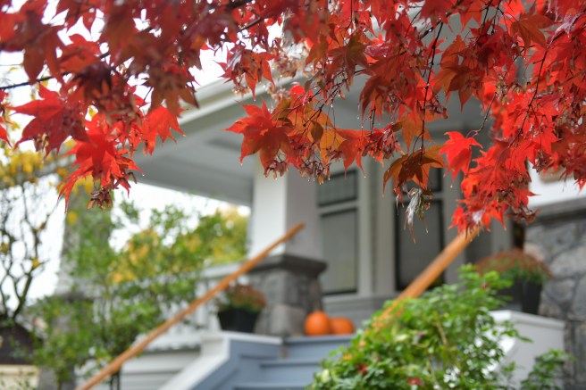 בית ונקובר גלית לוינסקי