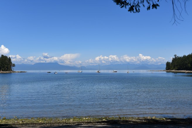 מחנה קיץ גלית לוינסקי