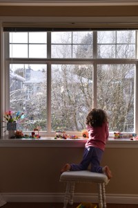 חלון ונקובר גלית לוינסקי