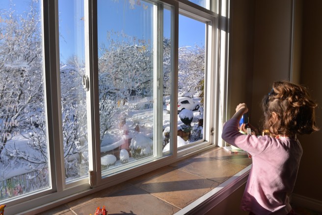 חלון ונקובר גלית לוינסקי