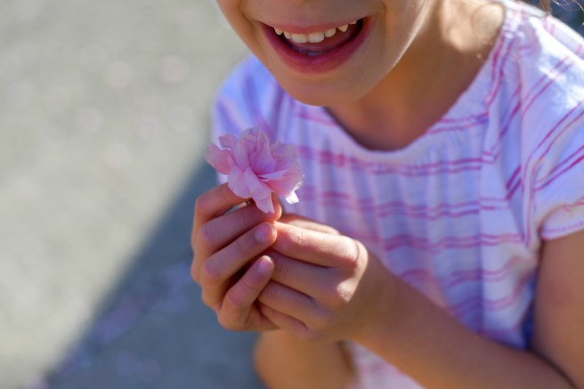 אביב בונקובר גלית לוינסקי