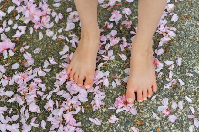 אביב בונקובר גלית לוינסקי