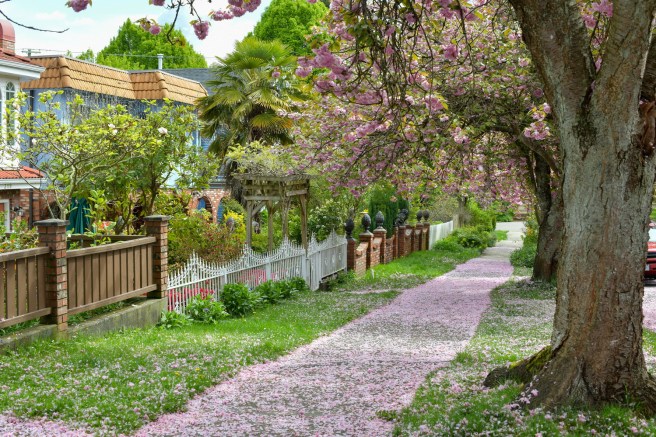 אביב בונקובר גלית לוינסקי