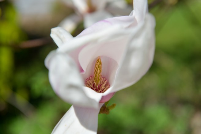 אביב בונקובר גלית לוינסקי