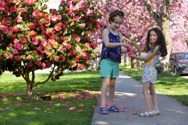 אביב בונקובר גלית לוינסקי