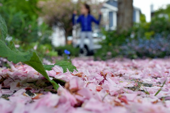 אביב בונקובר גלית לוינסקי