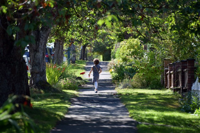 צילום גלית לוינסקי