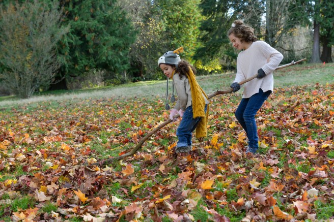 סתיו בוונקובר גלית לוינסקי