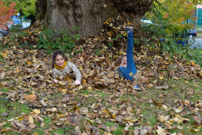 סתיו בוונקובר גלית לוינסקי
