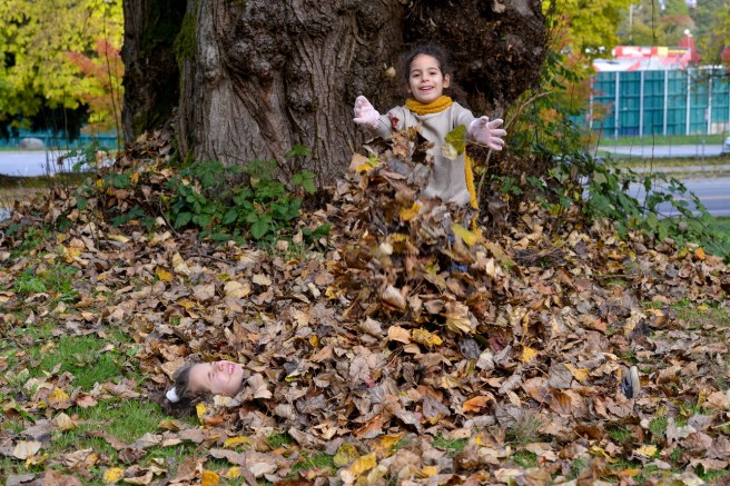 סתיו בוונקובר גלית לוינסקי