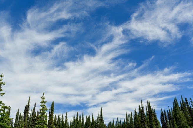 goodbye 2020 Galit Lewinski