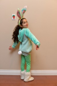 Jade rabbit גלית לוינסקי