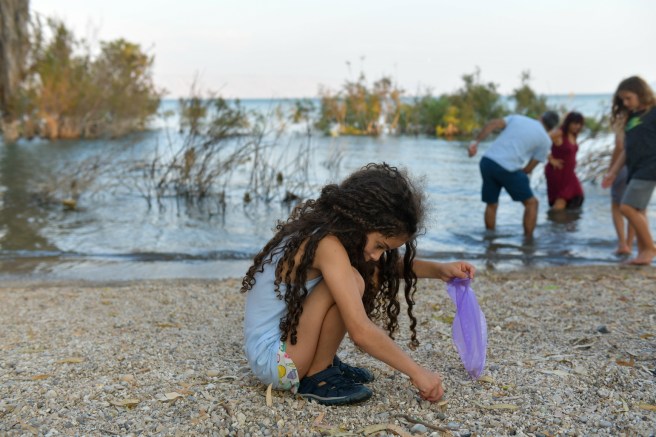 חופשה בישראל גלית לוינסקי