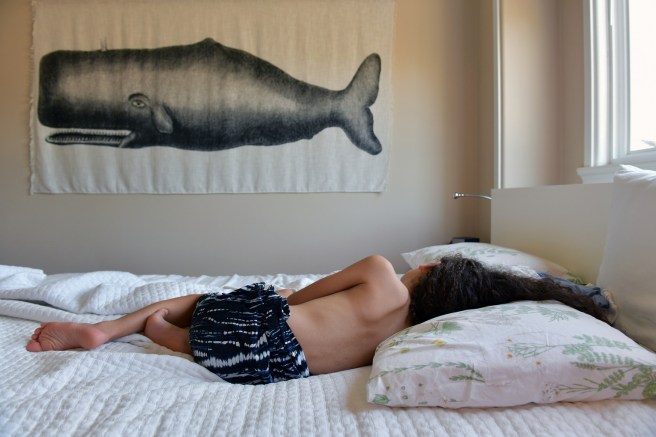 אורזים בית גלית לוינסקי