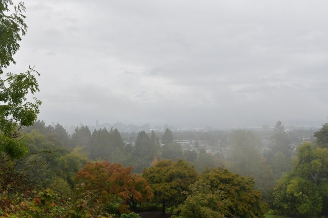 עונות השנה גלית לוינסקי