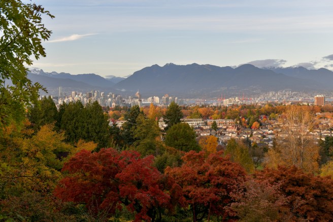 עונות השנה גלית לוינסקי