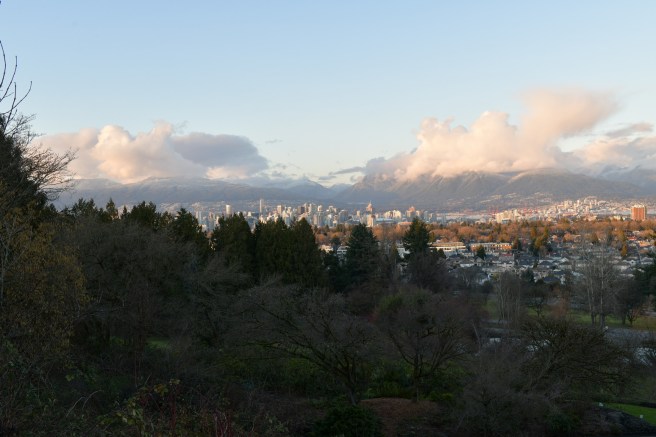 עונות השנה גלית לוינסקי