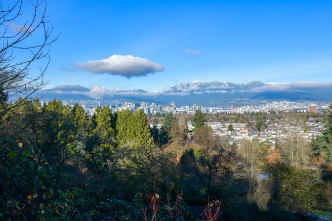עונות השנה גלית לוינסקי