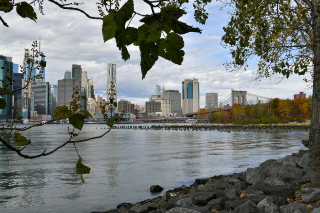 New York Galit Lewinski