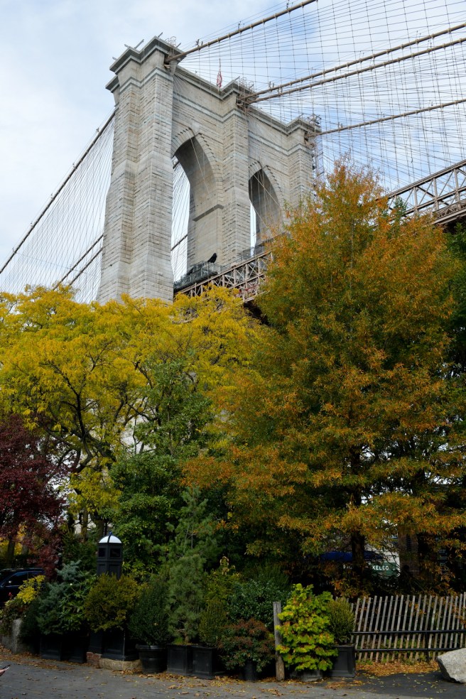 New York Galit Lewinski