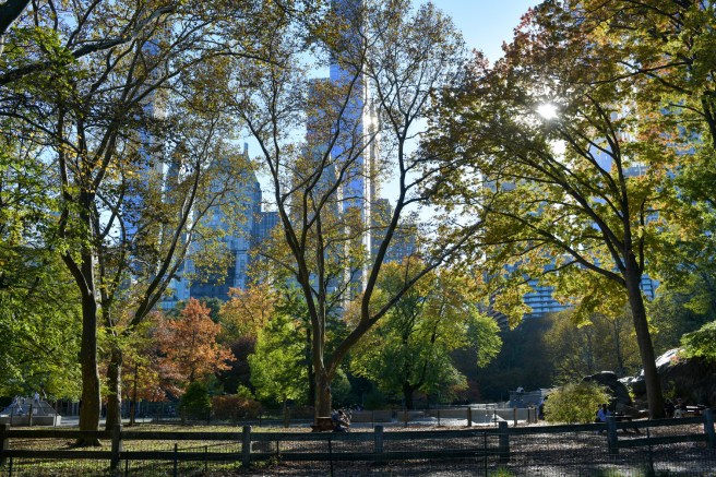 New York Galit Lewinski