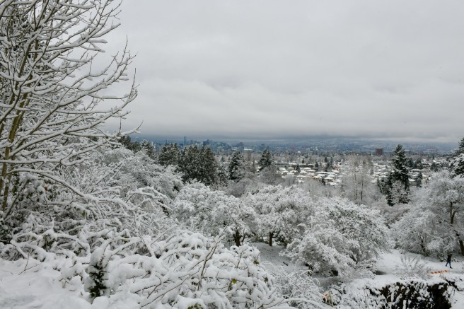 שלג בוונקובר צילום גלית לוינסקי