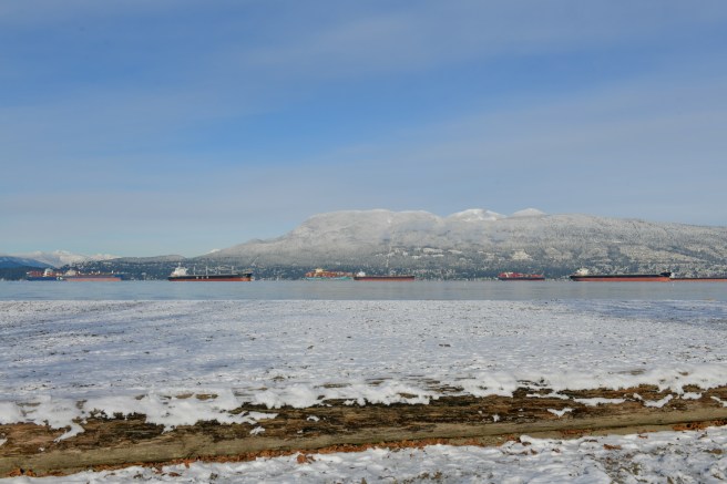 שלג בוונקובר צילום גלית לוינסקי