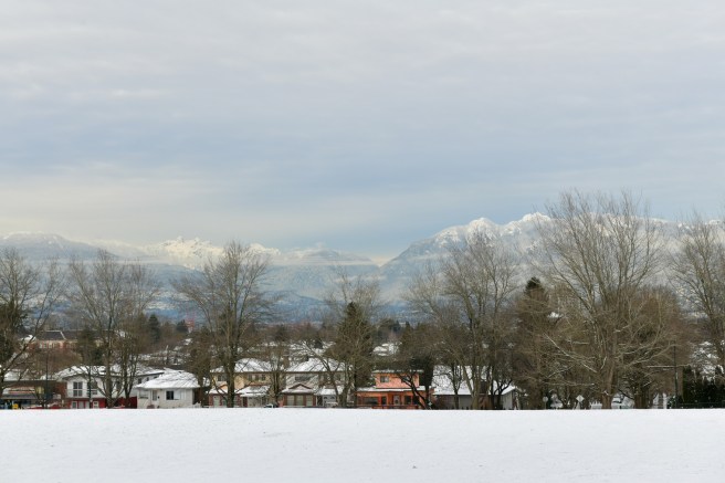 שלג על עירי צילום גלית לוינסקי