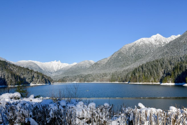 שלג על עירי צילום גלית לוינסקי