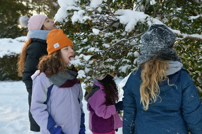 שלג על עירי צילום גלית לוינסקי