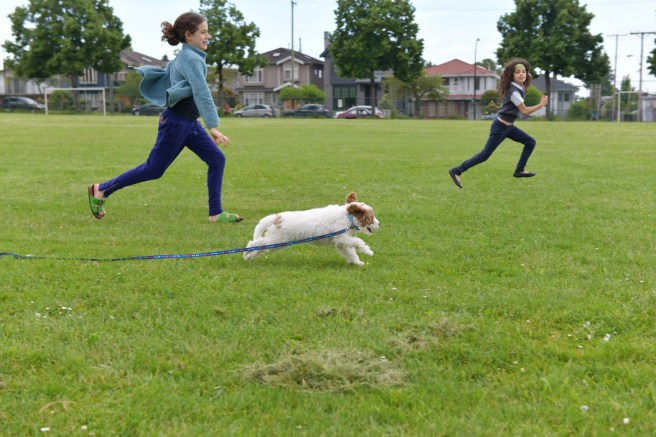 כלבובה גלית לוינסקי