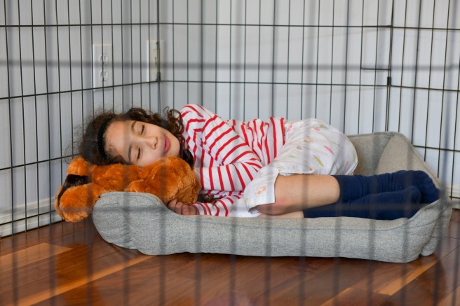 כלבה גלית לוינסקי